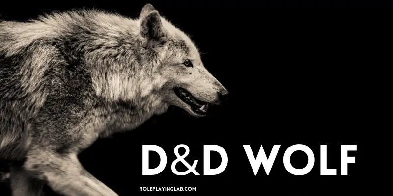 D&D Wolf